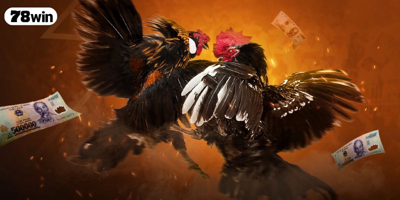 Đá Gà 888 – Theo Dõi Buổi Live Siêu Nét Đặt Cược Cực Đã