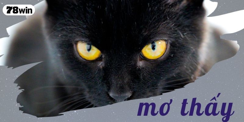 Nằm Mơ Thấy Mèo Là Điềm Gì? Giải Mã Ý Nghĩa Chi Tiết 2025